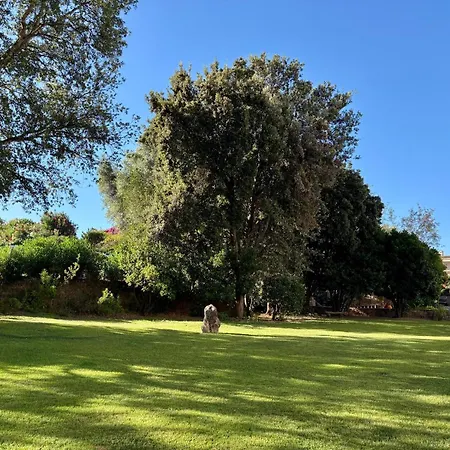 Lejlighedshotel With Swimming Pool In Porto Rotondo, With Air Conditioning And Private Outdoor Area